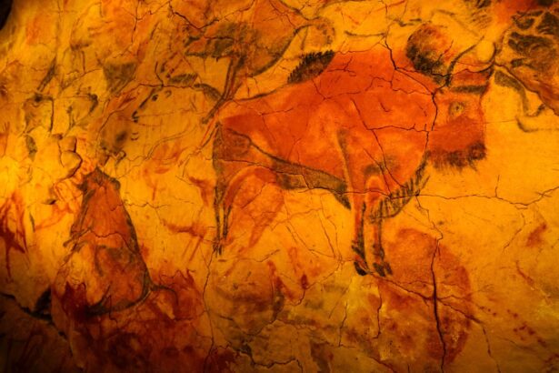 exista un singur loc pe pamant unde atat omul de neanderthal cat si oamenii moderni au creat arta rupestra 696605a861fd3