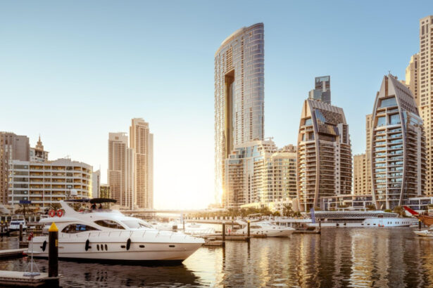 femeie din sibiu suspectata ca si a ucis mama cu sedative i a vandut bunurile si s a mutat in dubai ea a contestat arestul preventiv 695fab9d3cce3