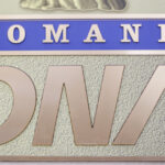 fosta contabila din ministerul de externe care a platit salarii ilegale de 84 milioane lei a fost pusa sub control judiciar 69734efb23e4c