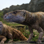 foto prezenta dinozaurilor cu coarne in europa contestata de peste un secol a fost confirmata cu ajutorul unor descoperiri din romania 6964963541f00