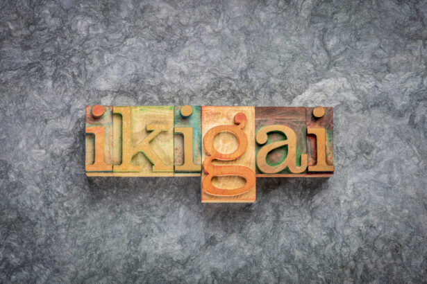 ikigai filozofia japoneza care te ajuta sa gasesti sensul vietii in fiecare zi 697a3593f1ed1