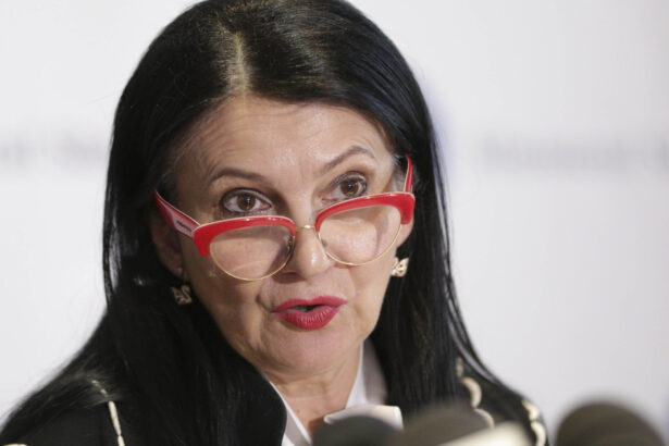 instanta suprema ar urma sa decida azi dupa patru amanari in cazul recursului in casatie inaintat de fosta ministra sorina pintea 69707738bbdac