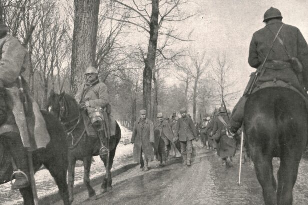 interesanta analiza a unui general roman pana acum conjunctura n a fost favorabila pentru a ataca pe nemti dar azi este 69692724317ac