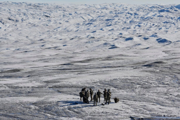 militari europeni in groenlanda europa raspunde presiunilor lui trump alice rufo un semnal catre intreaga lume 696a260971a87