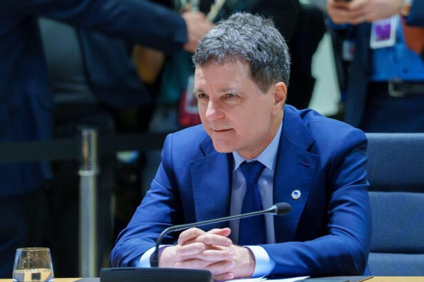 nicusor dan prezinta concluziile dupa consiliul european relatia transatlantica are o importanta cruciala pentru uniunea europeana 69736e9a8f1f3