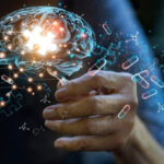 o substanta naturala care restabileste functiile memoriei afectate de boala alzheimer identificata in corpul uman 695cbb4fc62be