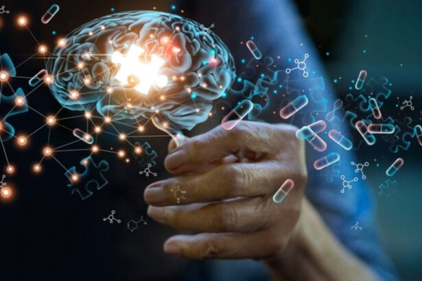 o substanta naturala care restabileste functiile memoriei afectate de boala alzheimer identificata in corpul uman 695cbb4fc62be