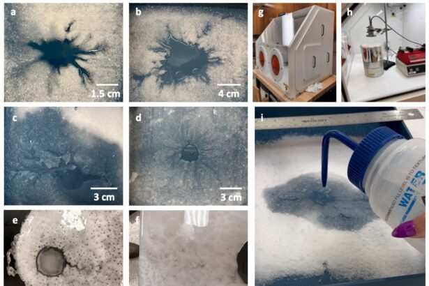 oamenii de stiinta au gasit un paianjen urias pe unul dintre satelitii naturali ai lui jupiter 695e5516a1d9b