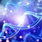 oamenii si au pierdut o abilitate biologica importanta din cauza evolutiei de ce 695b797c5c46c