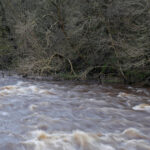 pericol de inundatii hidrologii au emis cod galben si portocaliu de viituri in mai multe judete ale tarii 695e450be58a9