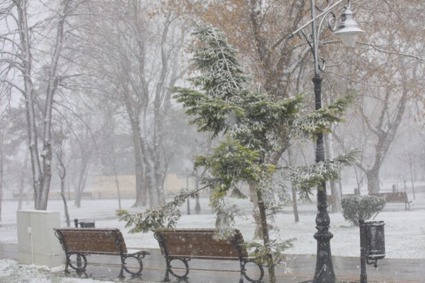 recomandari ale primariei constanta in contextul conditiilor meteo anuntate pentru sambata noapte ce numere de telefon puteti apela in caz de urgenta 6963799fc9760