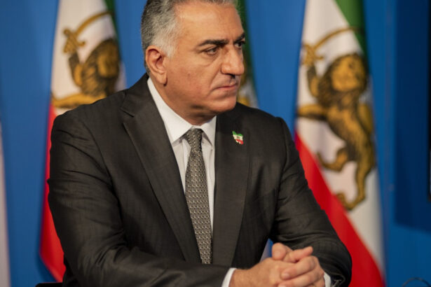 reza pahlavi fiul fostului sah promite ca se va intoarce in iran din exilul in sua poporul m a chemat sa conduc 696de5d7a50c3