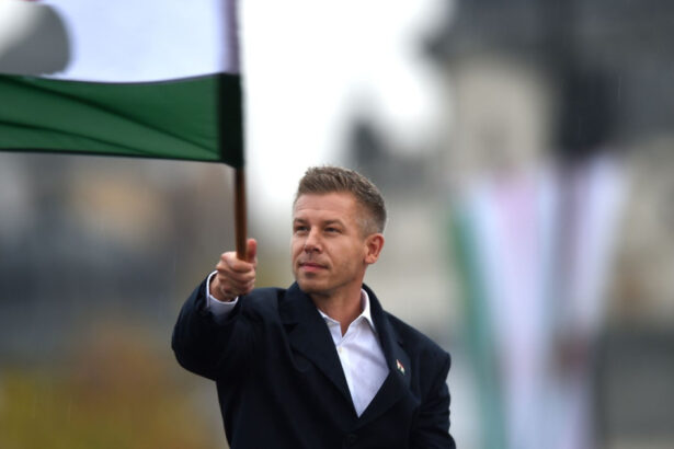 rivalul lui viktor orban peter magyar se dovedeste si mai radical cu muncitorii straini din ungaria care sunt planurile sale 695e7d4ba35ff