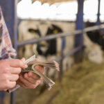 romania a primit aproape 1 miliard de euro din fonduri ue pentru agricultura sumele acopera avansurile platite fermierilor 695be8542f2c7