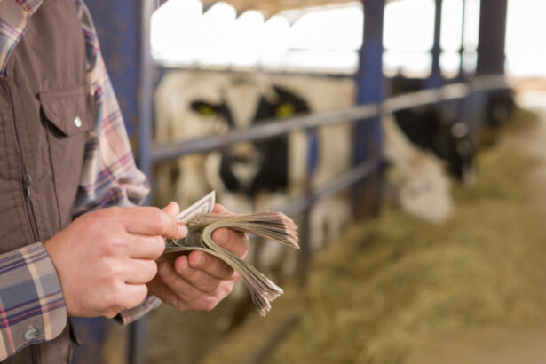 romania a primit aproape 1 miliard de euro din fonduri ue pentru agricultura sumele acopera avansurile platite fermierilor 695be8542f2c7