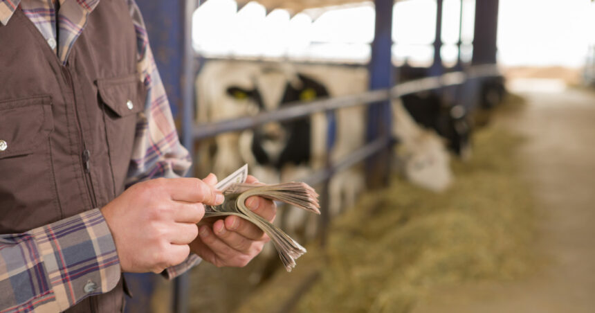 romania a primit aproape 1 miliard de euro din fonduri ue pentru agricultura sumele acopera avansurile platite fermierilor 695be8542f2c7