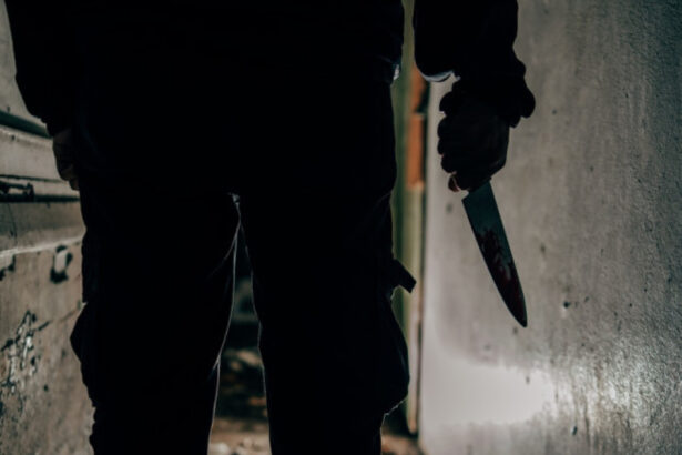 tanar din constanta retinut dupa ce si a injunghiat mama de 40 de ori dupa crima s a plimbat prin oras si apoi s a predat politiei 696f7325310b7