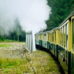 test de cultura generala care este diferenta dintre abur si fum 697900a3beb39