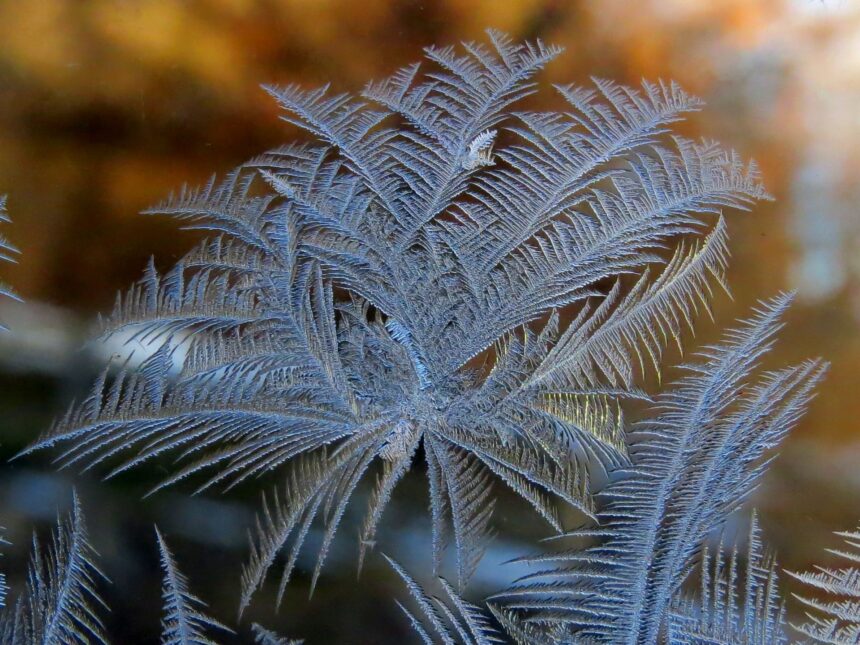 test de cultura generala de ce apar flori de gheata pe geamuri iarna 697245f2e7e14