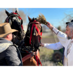 traditia botezului cailor pastrata cu sfintenie de boboteaza in comuna nicolae balcescu 695b8f5225bf3