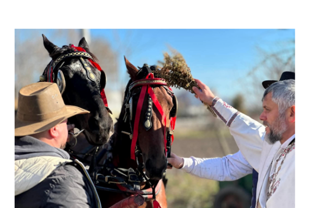 traditia botezului cailor pastrata cu sfintenie de boboteaza in comuna nicolae balcescu 695b8f5225bf3