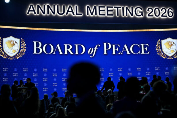 traian basescu despre comisia pentru pace o jucarie pe care si o face trump cum comenteaza fostul presedinte pozitia romaniei 697251d7347fb