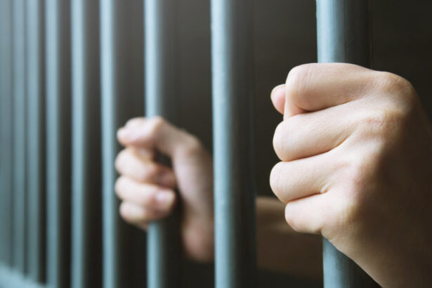 un barbat din dolj a ajuns dupa gratii pentru ca a omorat in bataie un caine care intrat in curtea lui 697340e5cadba