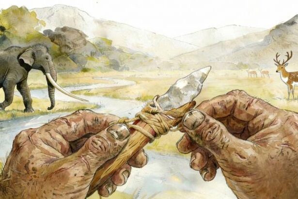 unelte vechi de 160 000 de ani rescriu istoria omenirii 697e1c2982a88