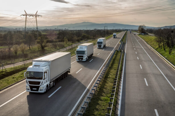 untrr cere ungariei sa ridice restrictiile de tranzit introduse la 1 ianuarie genereaza ocoluri de peste 200 km 6967cd16ed975