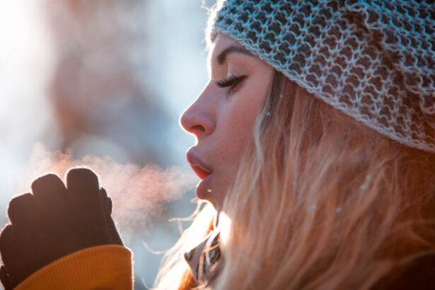 urmeaza doua zile cu ninsori si viscol anunta meteorologii cum va fi vremea in bucuresti 695aabec472c2