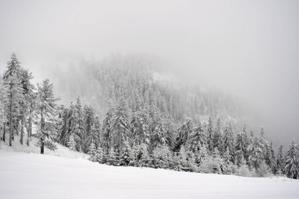 urmeaza trei zile cu ninsori abundente la munte risc crescut de avalanse avertizeaza anm 6958a39e84a72