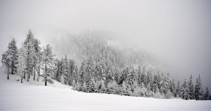 urmeaza trei zile cu ninsori abundente la munte risc crescut de avalanse avertizeaza anm 6958a39e84a72