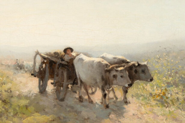 video anaf scoate la licitatie o parte din tablourile ascunse de valcov in pereti la cat se ridica prejudiciul din dosar 696a7a69a5202