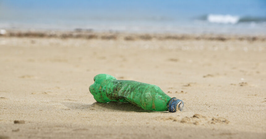 video cercetatorii avertizeaza peste cu microplastic pe masa romanilor marea neagra poluata masiv 6968b4e7b08cc