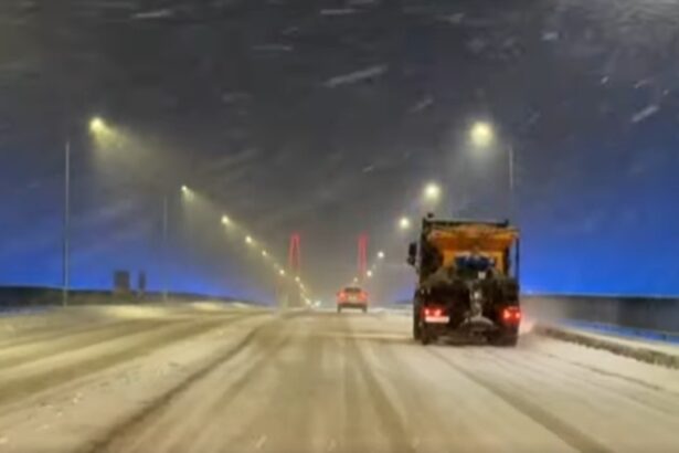 video iata cum s a actionat in medgidia pe fondul ninsorilor abundente reprezentantii primariei fac un apel catre conducatorii auto vezi aici despre ce este vorba 6963785df308a