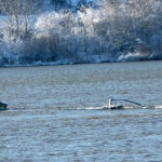 video pericol de poluare pe dunare o barja cu peste 1 100 de tone de ingrasamant chimic s a scufundat la zimnicea 69661c72f2fbe