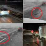 video puneti va cate o roata de rezerva in plus ca aveti nevoie cum arata drumurile din tara dupa ninsorile din ultimele zile 6961de271bd49