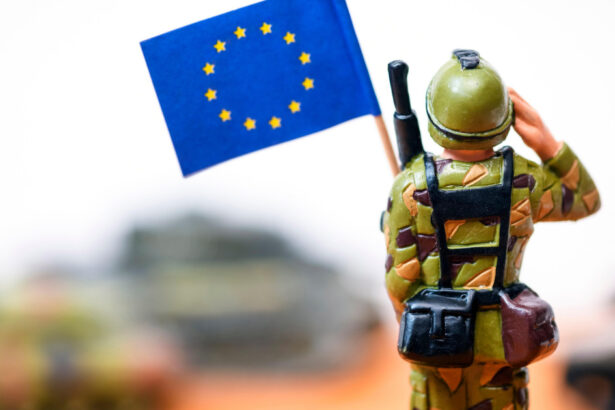 video romanii impartiti privind securitatea europei jumatate considera ca statele trebuie sa decida singure ce fac in cazul unei agresiuni 69774a830b523