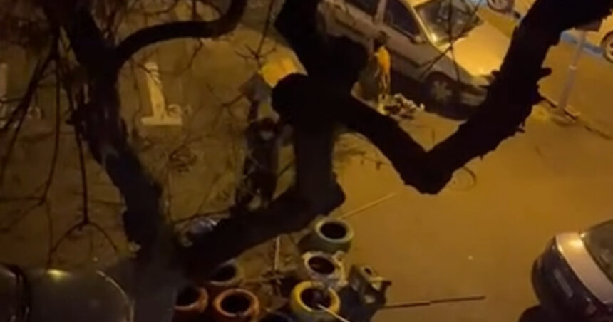 video un barbat e anchetat dupa ce a distrus mai multe casute pentru pisici in sectorul 3 imaginile au devenit virale pe internet 6971e88c195fe