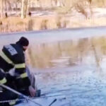 video un nepalez a sarit primul in lacul inghetat intr un parc din craiova pentru a salva o fetita de 5 ani 696c97f5124d4
