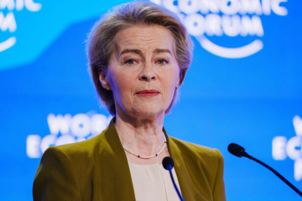 video ursula von der leyen avertizeaza sua tarifele intre aliati sunt o greseala ue promite un raspuns ferm unit si proportional 696f8121de27d