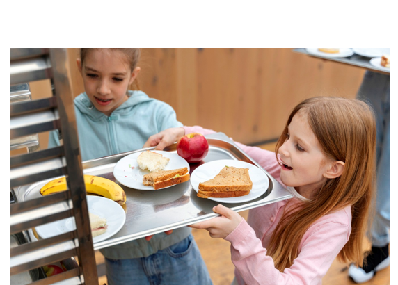 cati bani aloca anul acesta primariile din amzacea si horia pentru sandvich ul copiilor cine sunt firmele furnizoare si cui apartin accestea 6981766fad264