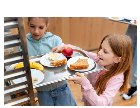 cati bani aloca anul acesta primariile din amzacea si horia pentru sandvich ul copiilor cine sunt firmele furnizoare si cui apartin accestea 6981766fad264