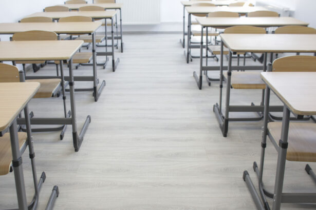 cursuri suspendate sau mutate online in patru judete din cauza ninsorilor din tara 69809694902b9