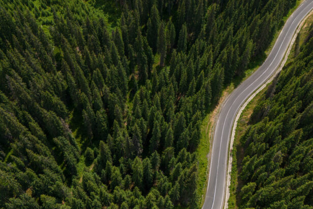 exclusiv impadurirea romaniei octavian berceanu pe terenuri sunt multi primari sau prieteni de ai lor care iau subventii de la apia 697f5db3140f7