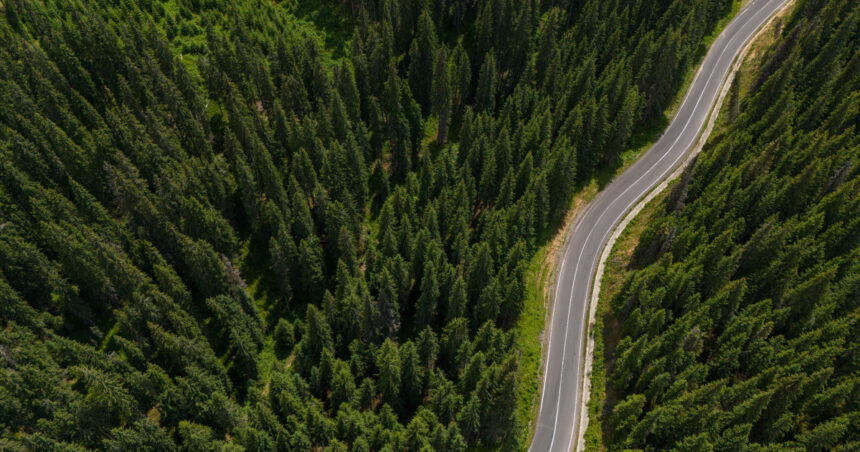 exclusiv impadurirea romaniei octavian berceanu pe terenuri sunt multi primari sau prieteni de ai lor care iau subventii de la apia 697f5db3140f7