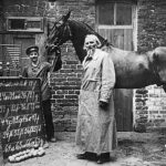 hans cel destept povestea calului despre care cercetatorii au crezut ca intelege limba germana si matematica 697f66956d3b9