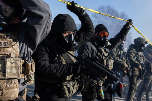 influencer pro trump care sustinea ca toti migrantii retinuti sunt niste infractori arestat de ice in sua 6980e76db04d3