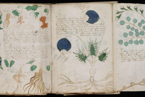 manuscrisul voynich limba pierduta sau cifru genial 6987649298a35
