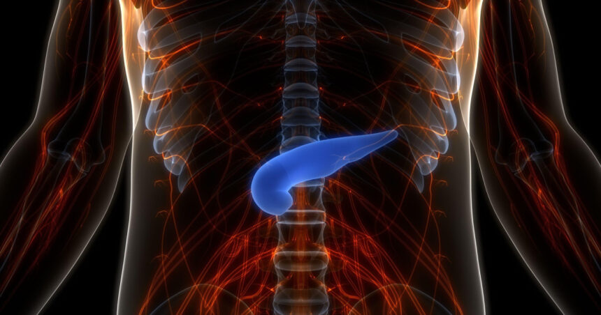 pancreasul artificial a fost dezvoltat in israel cum functioneaza implantul viu care ar elimina injectiile zilnice cu insulina 698207b5ab6ae